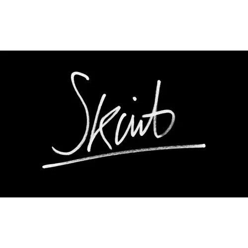 Skint Film Company Logo