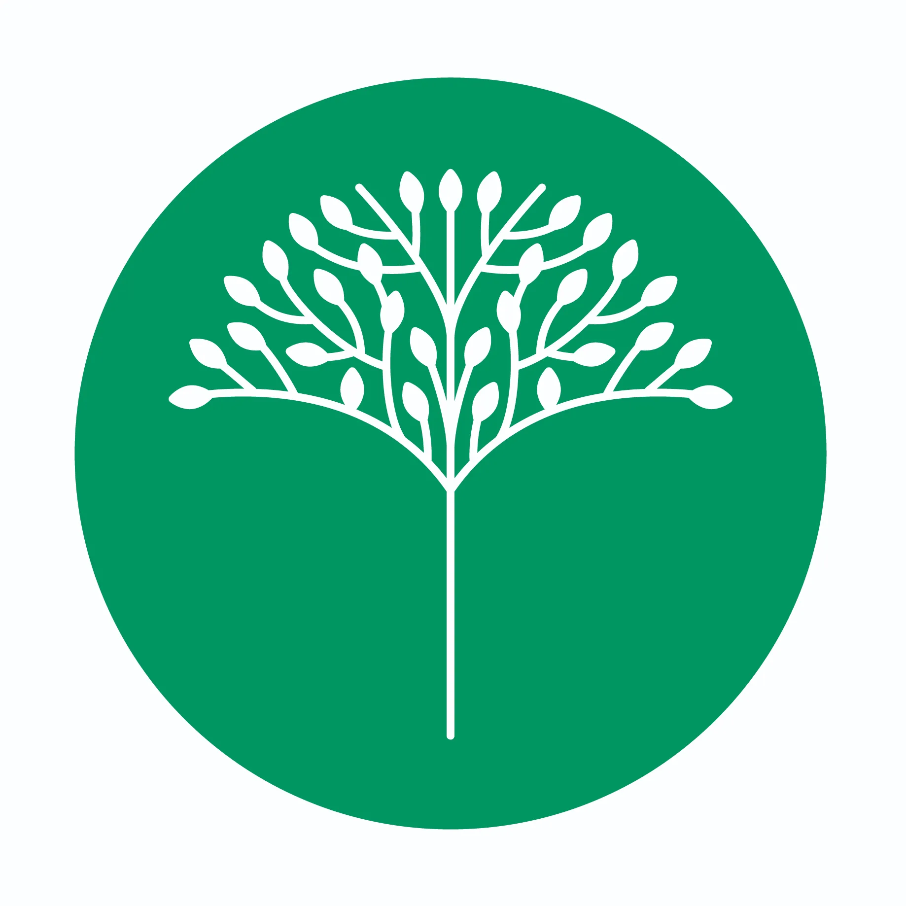 Chris Anderson Logo