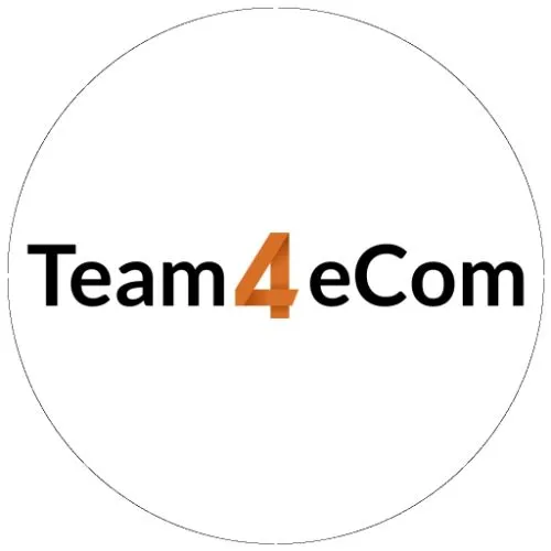 Team4eCom Logo