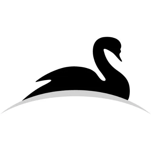 Black Swan Capital Europe Logo