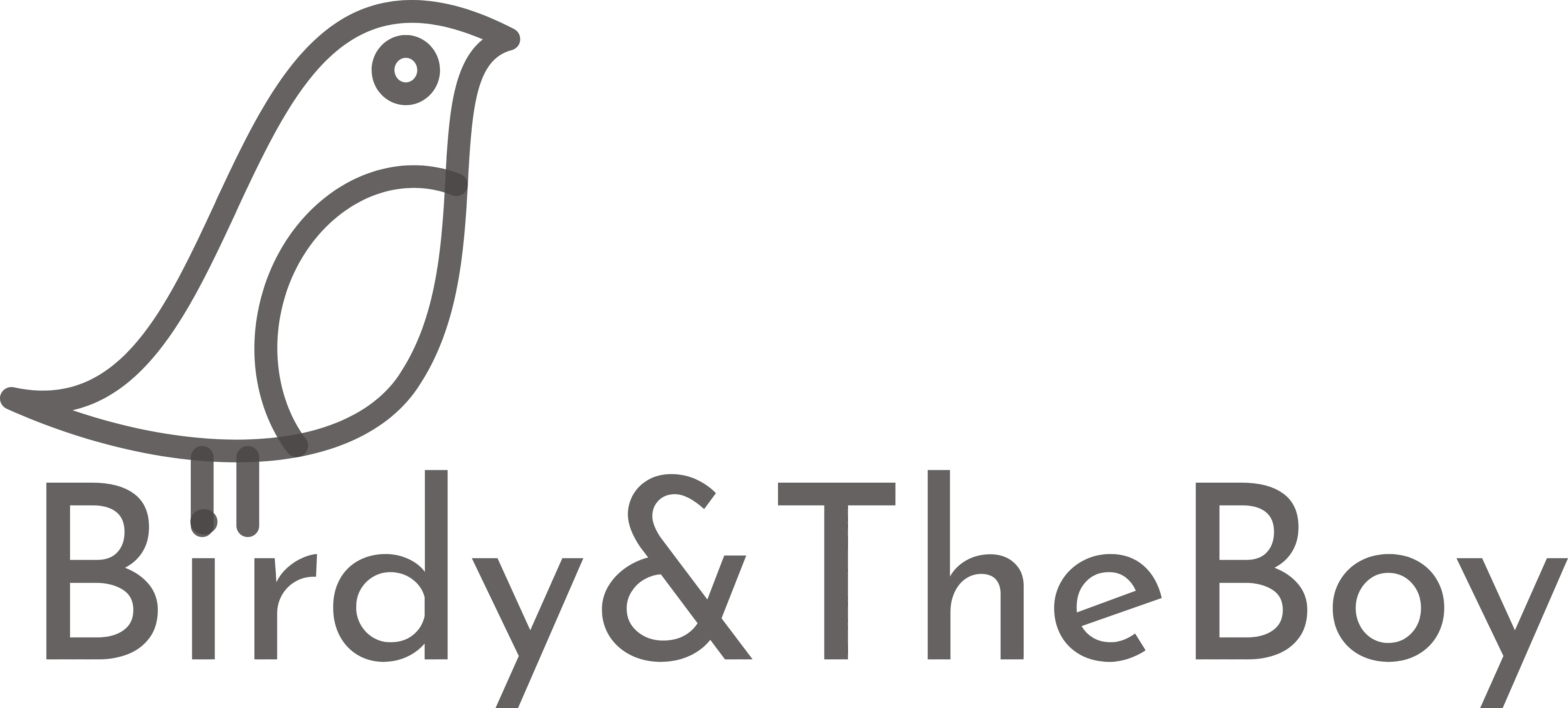 BirdyandTheBoy Logo