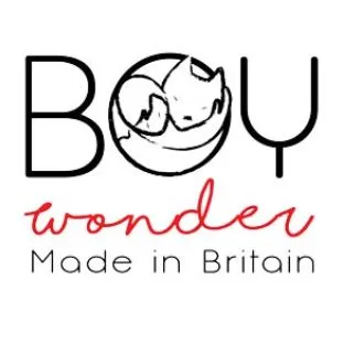 Boy Wonder Logo