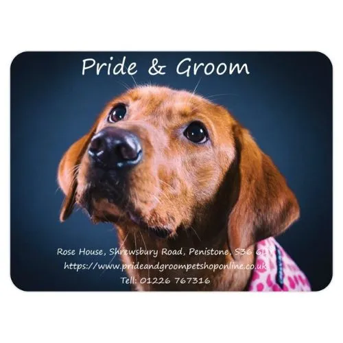 Pride and Groom Logo