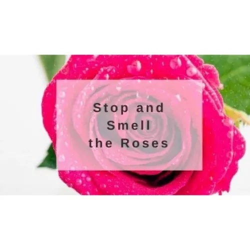 We Smell The Roses Logo