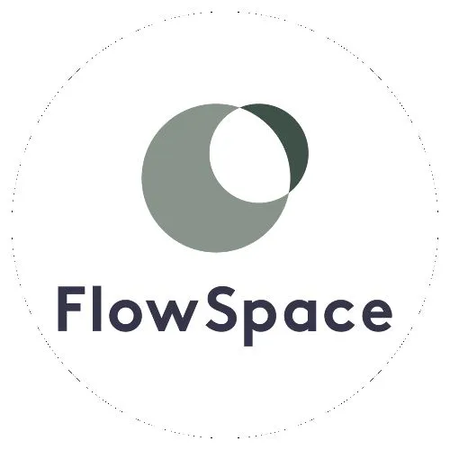 FlowSpace Logo