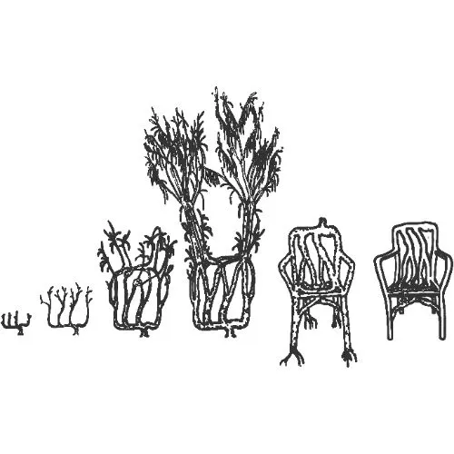 Full Grown Ltd Logo